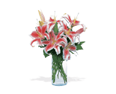 Lovely Lilies, picture