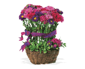 Basket of Smiles, picture