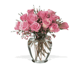 A Pretty Pink Dozen, picture