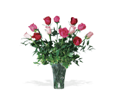 A Dozen Multi-Colored Roses, picture