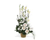 White Impressions, picture