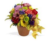 Teleflora's Fresh Blossom Potpourri, picture