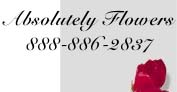 Absolutely Flowers - Your Teleflora Florist in McDonough, GA