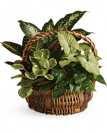 Small Garden Basket Basket Arrangement