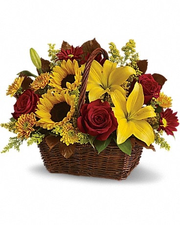 DELUXE size, 11 and a half inches height and 14 and a half inches wide.