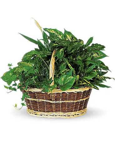 Large Garden Basket Basket Arrangement