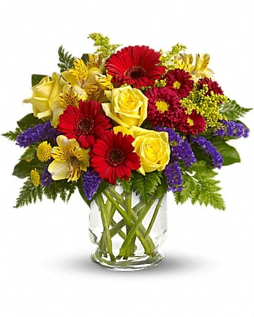 DELUXE size, 14 inches height and 14 and a half inches wide.