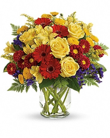 PREMIUM size, 14 and a half inches height and 15 inches wide.