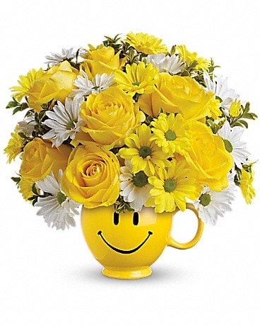 PREMIUM size, 11 inches height and 11 inches wide.