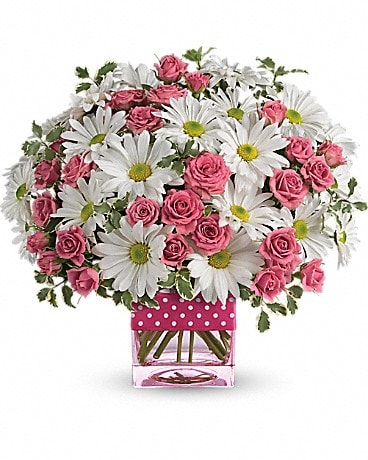 PREMIUM size, 11 inches height and 11 and a half inches wide.