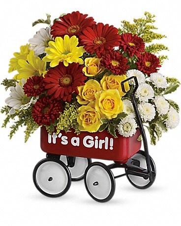 DELUXE size, 12 inches height and 11 and a half inches wide.