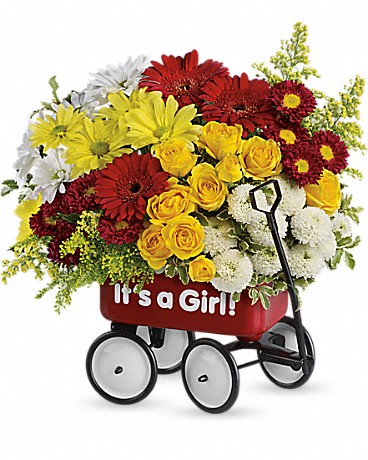 PREMIUM size, 12 inches height and 11 and a half inches wide.