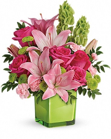 DELUXE size, 15 and a half inches height and 14 inches wide.