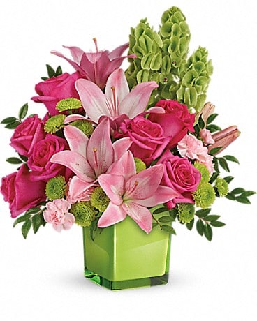 PREMIUM size, 16 and a half inches height and 15 inches wide.