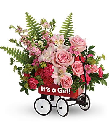 DELUXE size, 14 inches height and 14 3/4 inches wide.