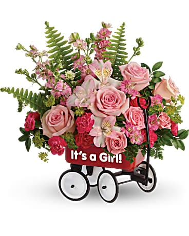PREMIUM size, 14 inches height and 14 3/4 inches wide.