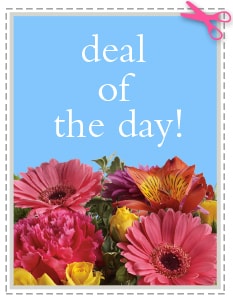 This Mother's Day Send Mom The Best Deal of the Day - Biggest Freshest Arrangement