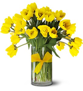 Teleflora's Sunny Yellow Tulips  Premium in McDonoughGA, Absolutely Flowers