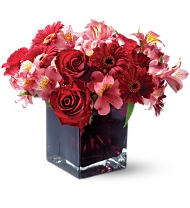 Teleflora's Wild Berry in McDonoughGA, Absolutely Flowers