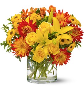 Summer Samba in McDonoughGA, Absolutely Flowers