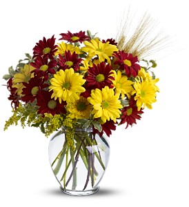 Fall for Daisies in McDonoughGA, Absolutely Flowers