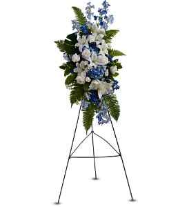 Ocean Breeze Spray in McDonoughGA, Absolutely Flowers
