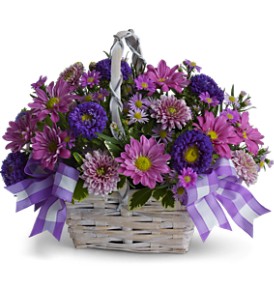 Daisy Day Dreams in McDonoughGA, Absolutely Flowers