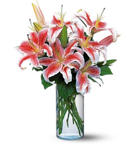 Lovely Lilies in McDonoughGA, Absolutely Flowers