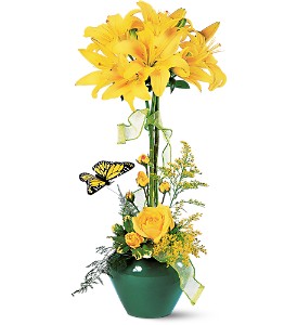 Lily Topiary in McDonoughGA, Absolutely Flowers