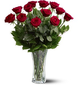 A Dozen Premium Red Roses in McDonough GA, Absolutely Flowers