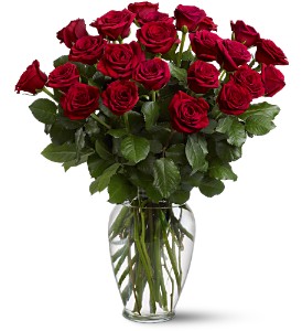 Two Dozen Red Roses in McDonoughGA, Absolutely Flowers