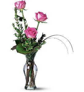 Tender Trio in McDonoughGA, Absolutely Flowers