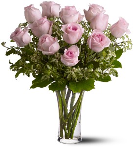 A Dozen Pink Roses in McDonough GA, Absolutely Flowers