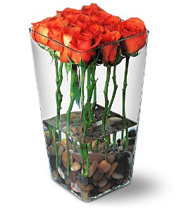 Orange Roses with River Rocks in McDonoughGA, Absolutely Flowers