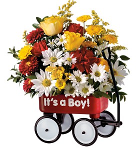 Teleflora's Baby's First Wagon - Boy in McDonoughGA, Absolutely Flowers