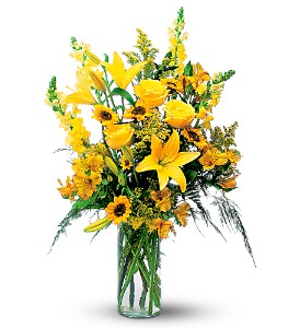 Burst of Yellow in McDonoughGA, Absolutely Flowers