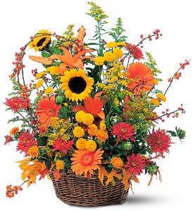 Majestic Fall in McDonough GA, Absolutely Flowers
