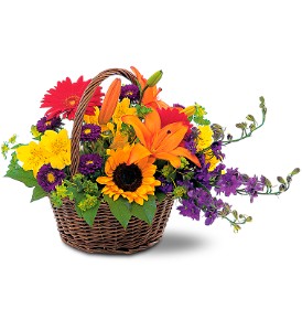Basket of Blooms in McDonough GA, Absolutely Flowers