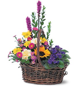 Basket of Glory in McDonoughGA, Absolutely Flowers