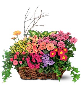 Deluxe European Garden Basket in McDonoughGA, Absolutely Flowers