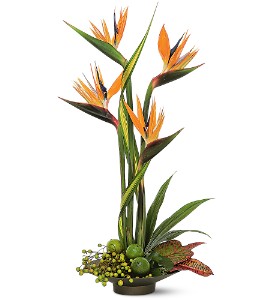 Memories of Paradise in McDonoughGA, Absolutely Flowers