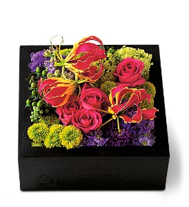 Pav Texture Square in McDonoughGA, Absolutely Flowers