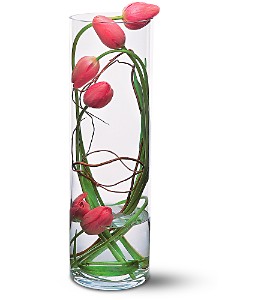 Tulip Under Glass in McDonoughGA, Absolutely Flowers