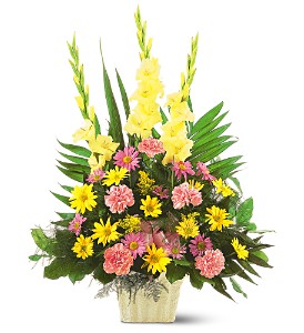 Warm Thoughts Arrangement in McDonoughGA, Absolutely Flowers