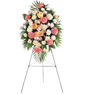 Gentle Thoughts Spray in McDonough GA, Absolutely Flowers