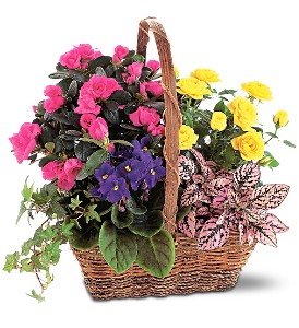 Blooming Garden Basket in McDonoughGA, Absolutely Flowers