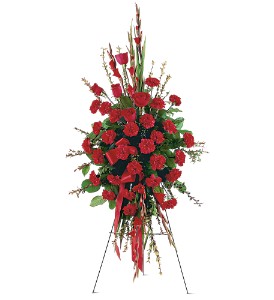 Red Regards Spray in McDonough GA, Absolutely Flowers