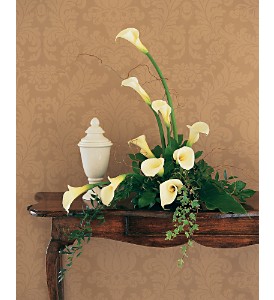White Expressions in McDonough GA, Absolutely Flowers