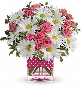 Teleflora's Polka Dots and Posies in McDonough GA, Absolutely Flowers
