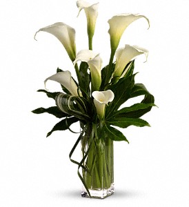 My Fair Lady by Teleflora in McDonough GA, Absolutely Flowers